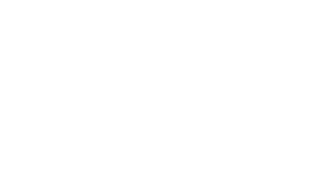 light logo